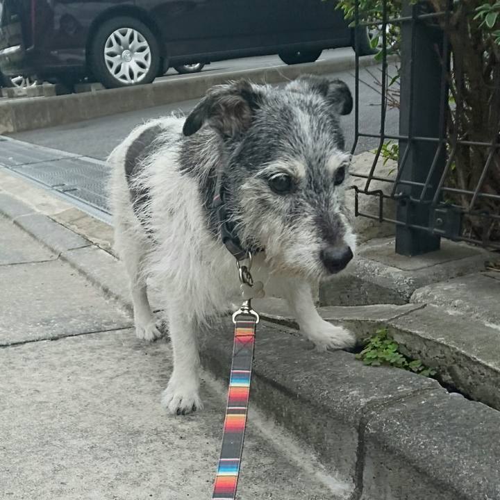 1e048a90 5392 4986 bc02 393790317c9b