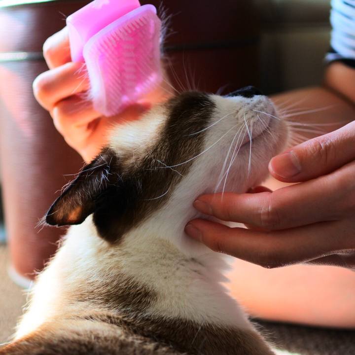 1e049ab7 56fd 4766 a592 bae636188161