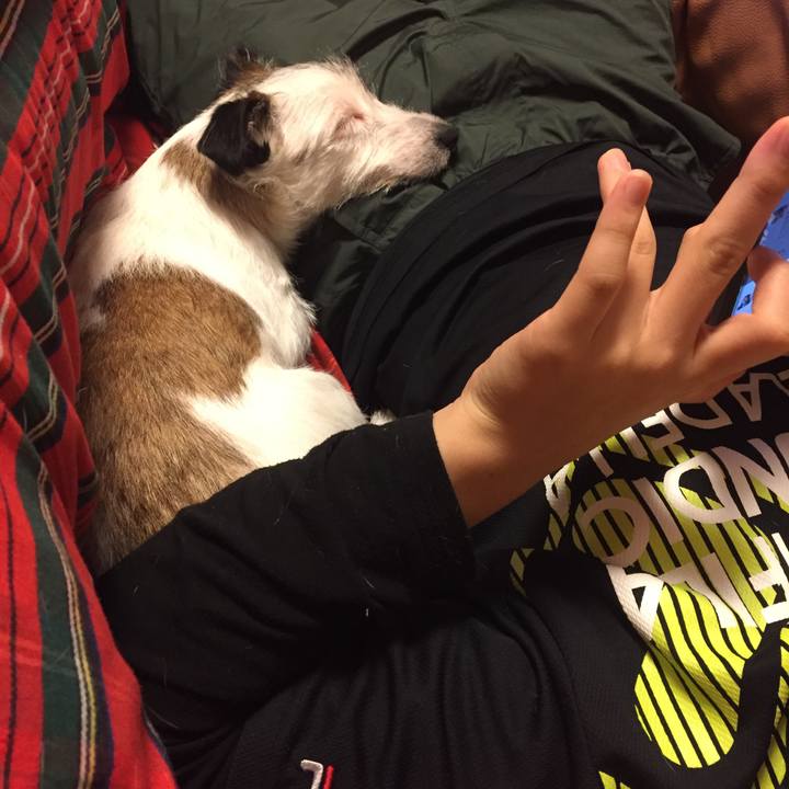 1e04fcb5 fdfc 405b 93b9 0a923537cc15