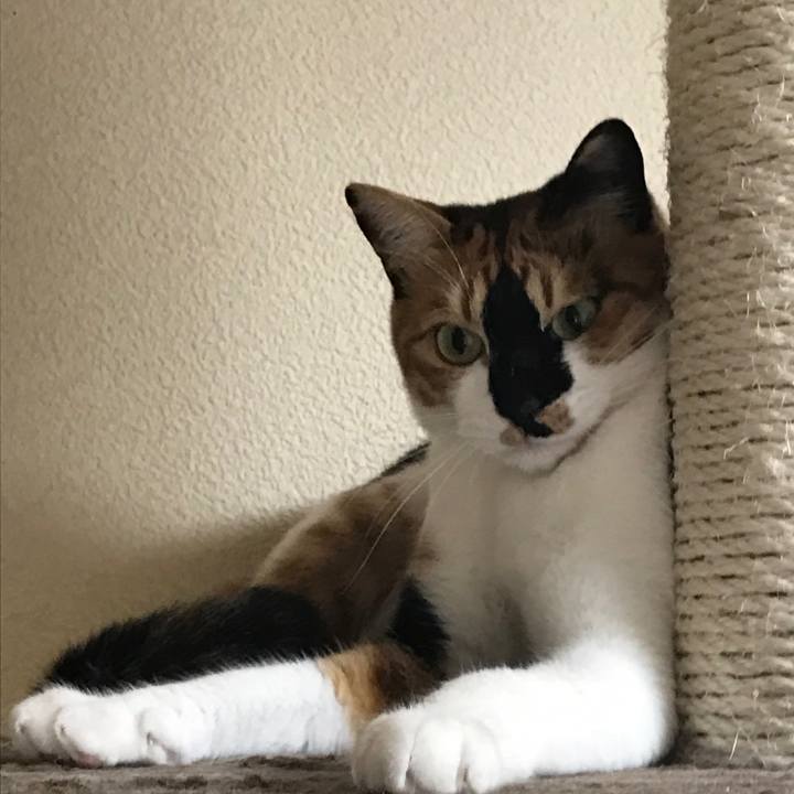 1e056645 348e 4eb0 abb8 3f77e4e5522e