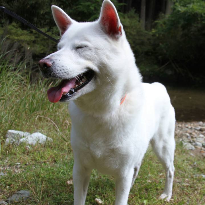 1e057c6c 319f 4085 941e 552ee3f7e885