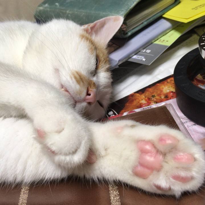 1e06041f 44ae 463a b778 936b1c3a9b81