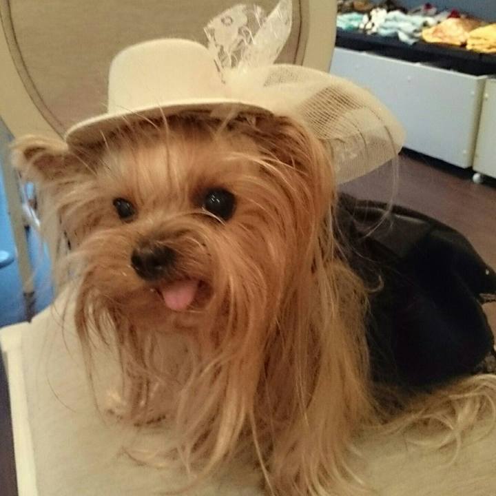 1e0708c0 361b 4bef b46f 94bcada09924