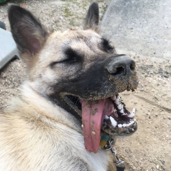 1e07363a ab05 464a bc5d 1b848f37f43b