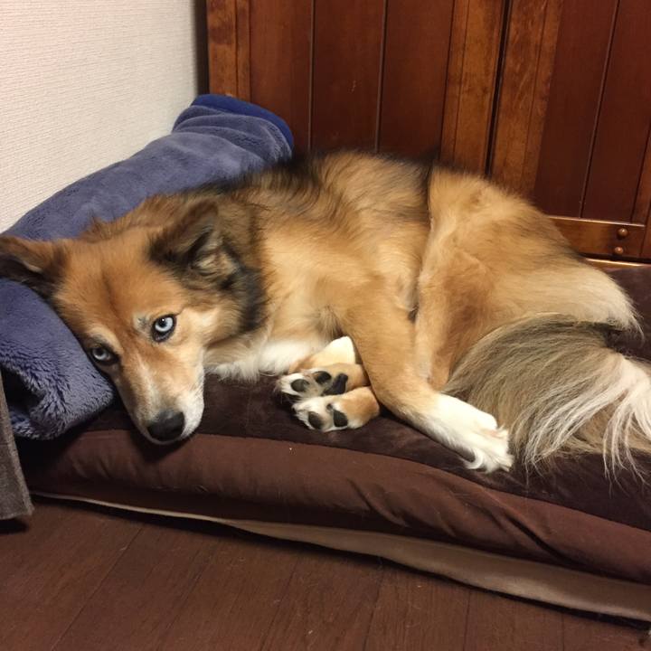 1e074ca9 deab 4edf b5f5 66f62176126f