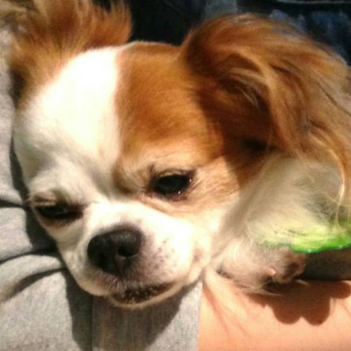 1e07d93e a320 4c39 b3d8 4785d0e57e97