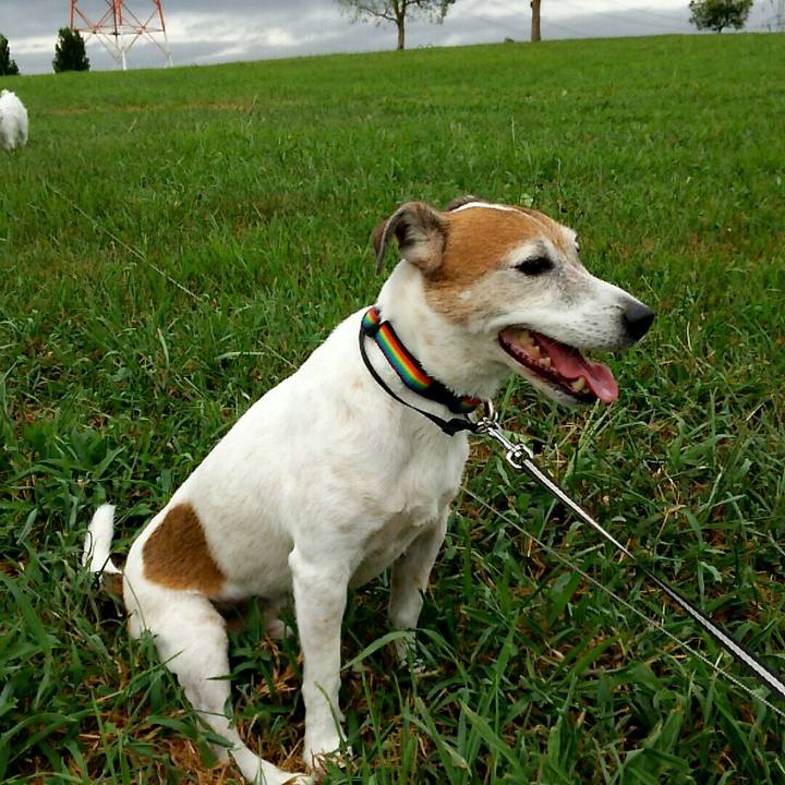 1e08ed98 84f3 4e04 a012 5fbfc71c4e60