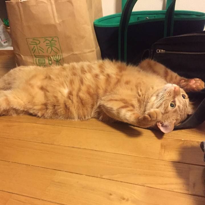 1e099ec2 5611 471d ab04 3feb0d126358