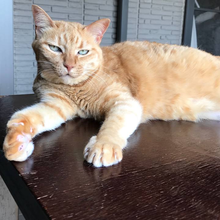 1e09e24a ff38 4963 89d1 a904278eeebc