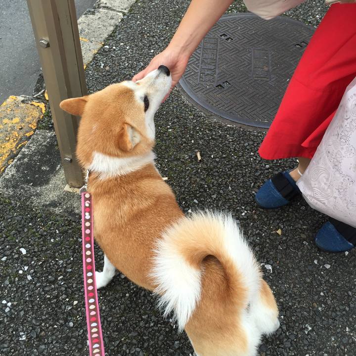 1e09f46c 0052 4e4a 9113 57c821aca6bf