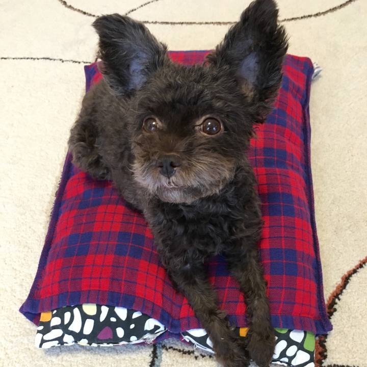 1e0aa7c8 5163 4509 9dce 5b135bd6d50f