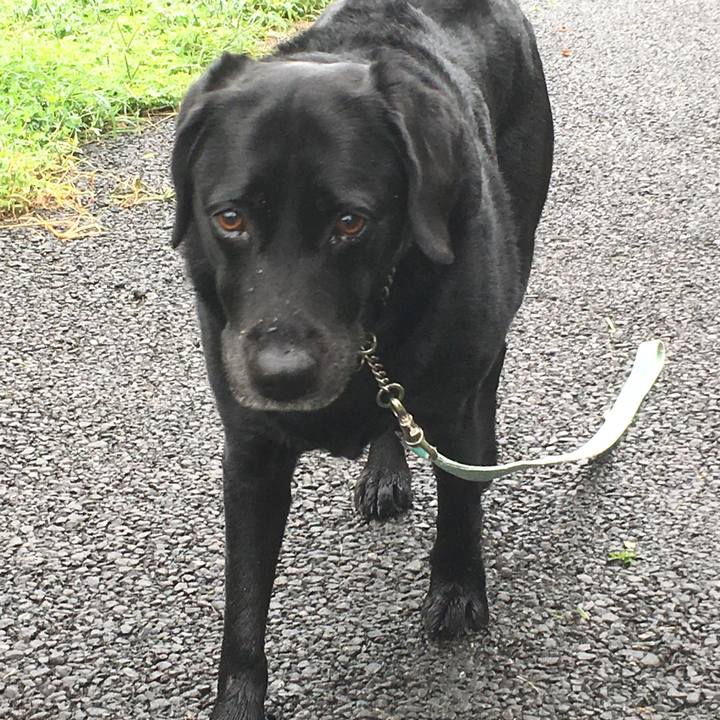 1e0b011f 1029 4ce2 862c 1bcb4f4bdf8e