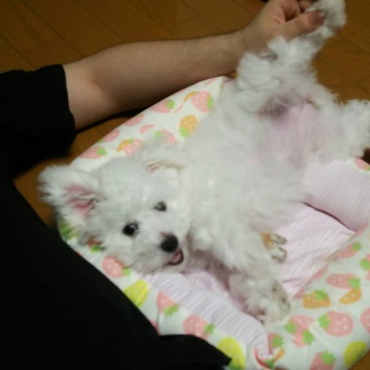 1e0dbc80 99bf 429c bf3a aa78a6be9db6