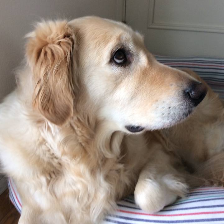 1e0e10f9 4294 435c b589 5e484dfe3d86