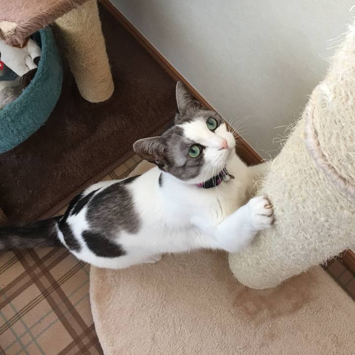 1e0e5476 a98f 467b 9644 a179ac985e2f