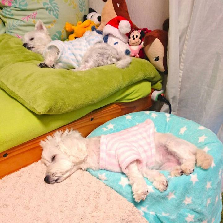 1e0ebb5b 64b1 4c4c a4f5 c31d284f1c24