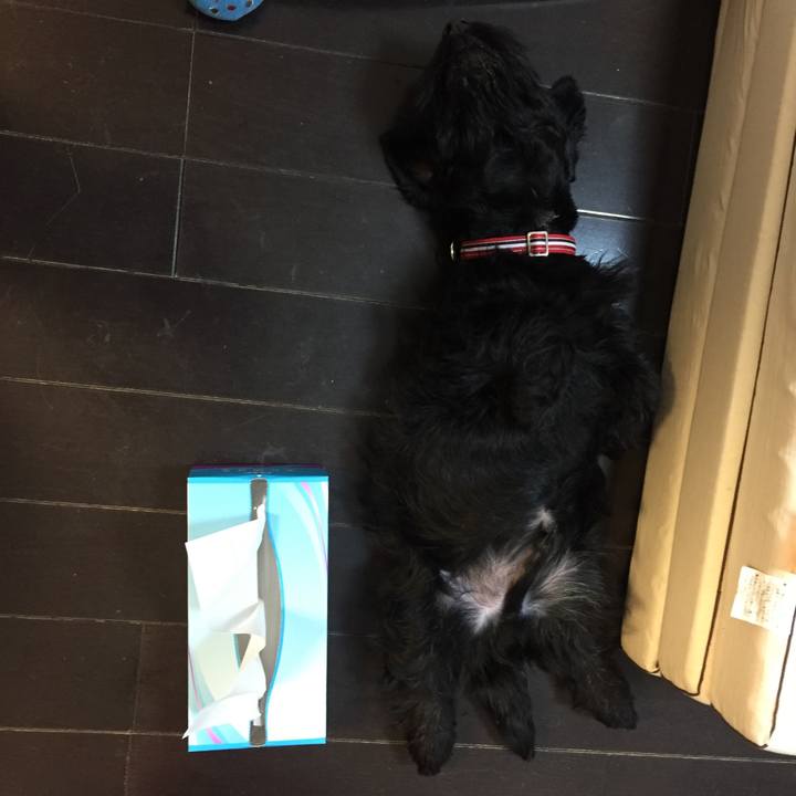 1e0ef3a1 b42a 43f4 93af 6d283f6cfaeb