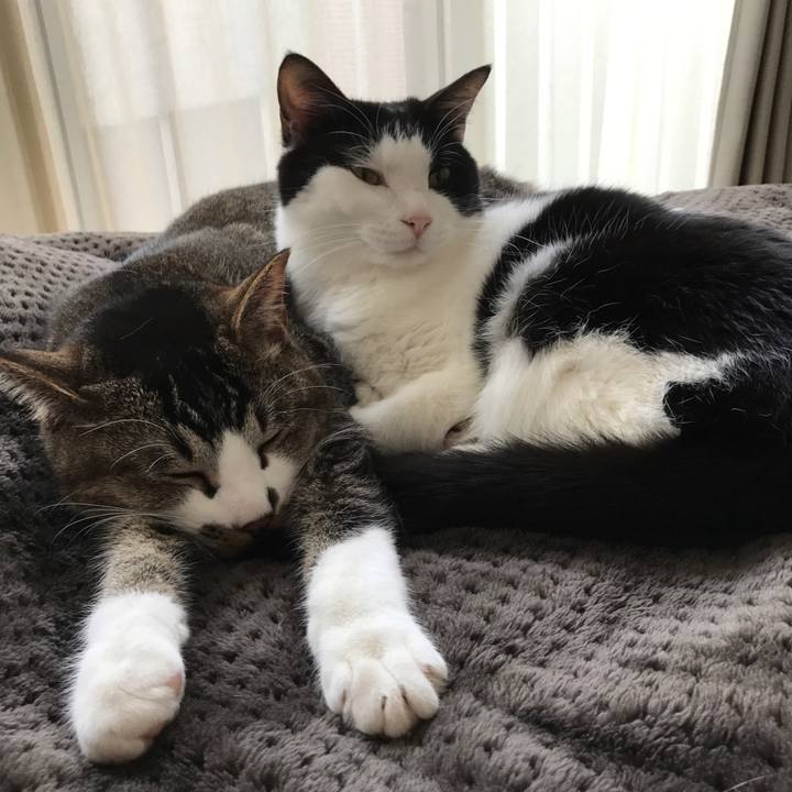 1e0f07b5 7c18 4f7d 995a 7b763da37585