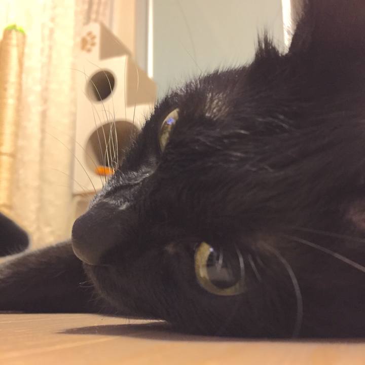 1e0f3726 af87 4f75 8e4e 9b73960b7e00