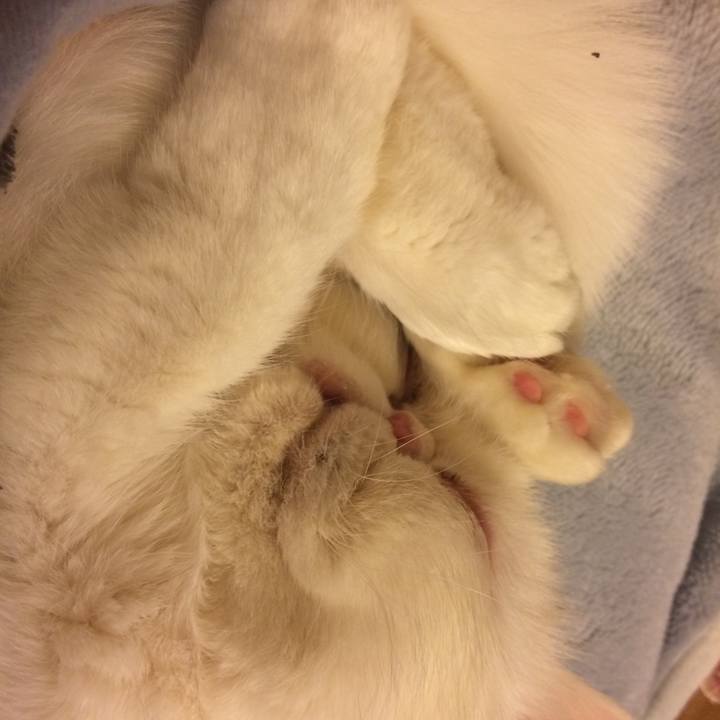 1e0f9f43 d208 46b9 b498 49af0c4a8838