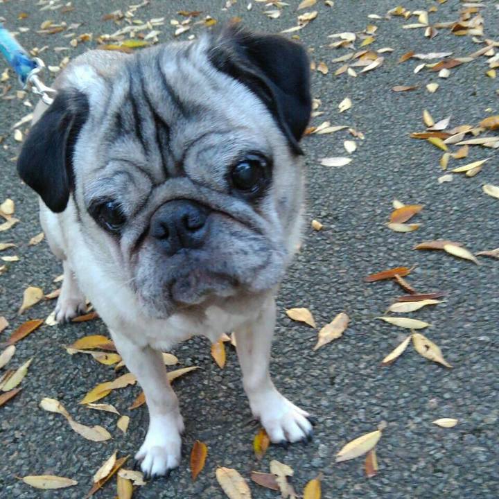 1e0fbddd 602c 41a2 bca7 89c4ac9e5a1d