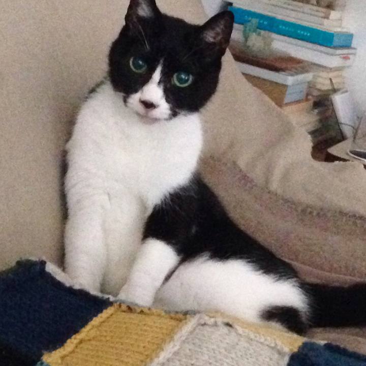 1e0fe9ca 94d8 4792 bd10 848a5559a81e