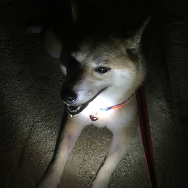 1e1019cd 30e2 4847 a3e9 57f83ae11db6