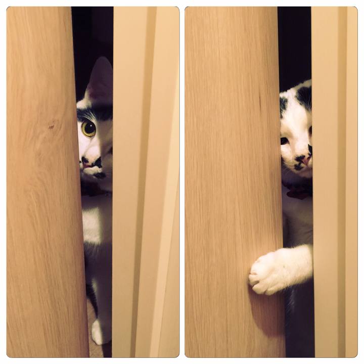 1e10d59a 349b 468b 8e17 13a6e00e907d