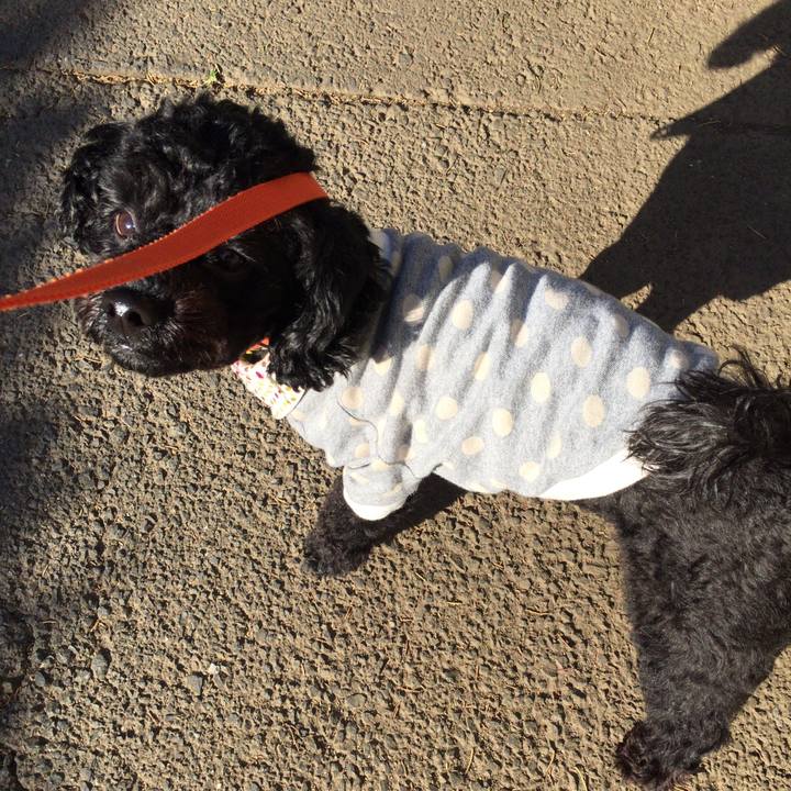 1e110ab4 e0be 45f1 b1c1 f3a2096a75a2