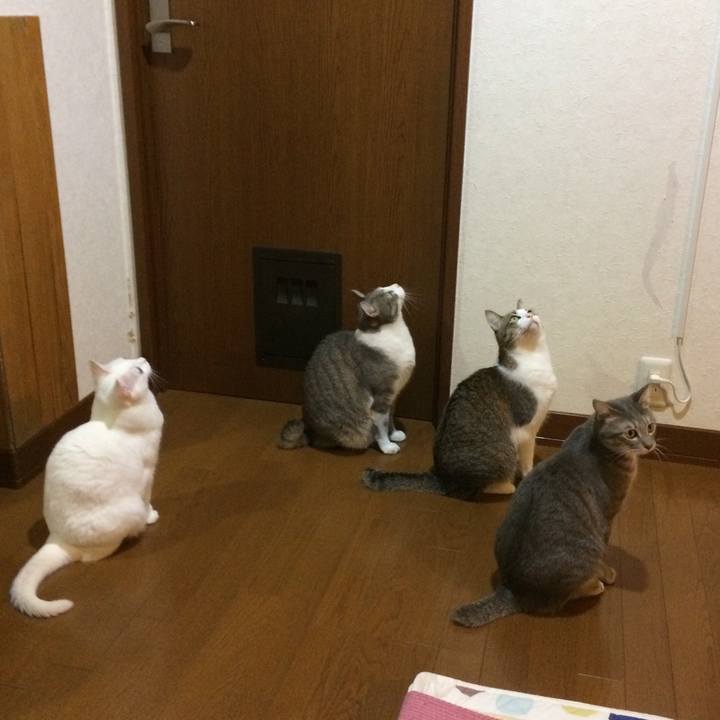 1e113249 a39a 44fe a388 dc6525bd8543