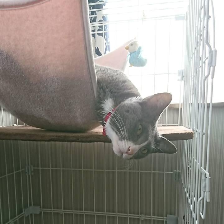 1e119359 ccc4 467e 891c ae84c2100bbe