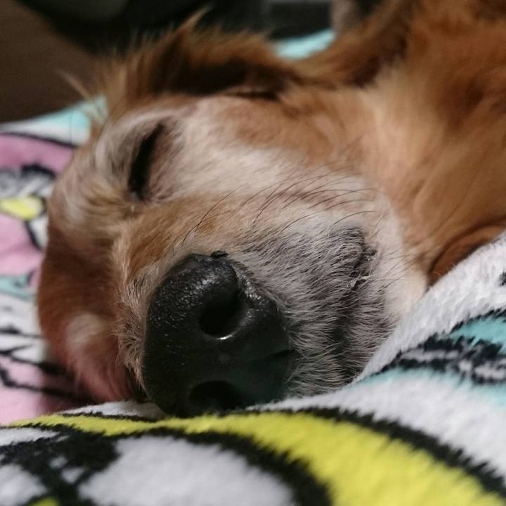 1e11d693 d2d5 4511 8c9d 20e2b8294dfb