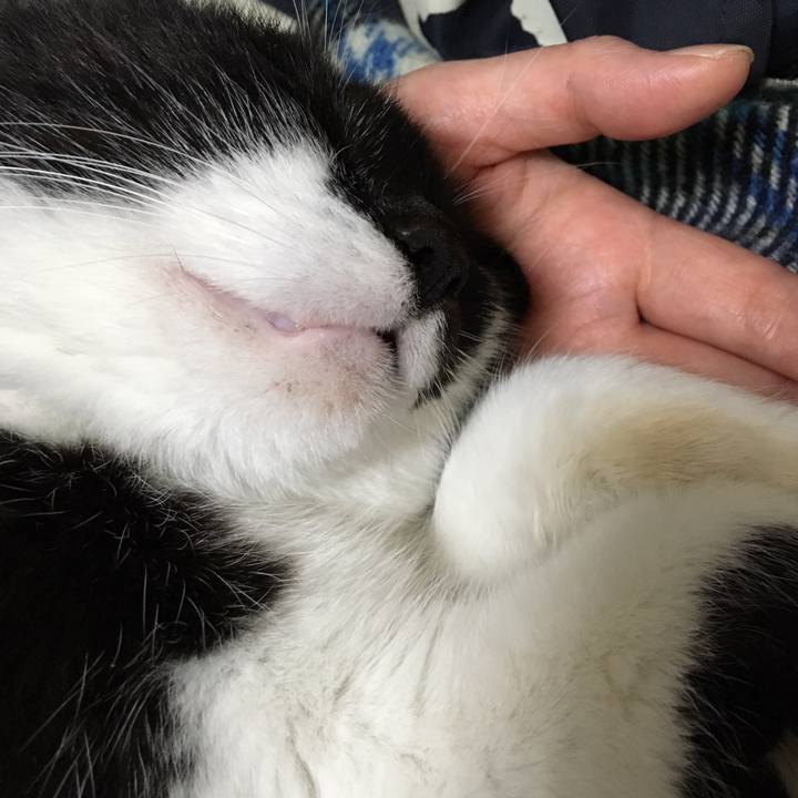 1e1231ca 1a41 489c 94d1 c5efb892ca25