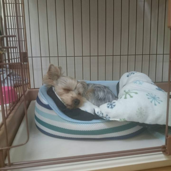 1e12b95e 35e2 4371 ab89 76f0778537b3