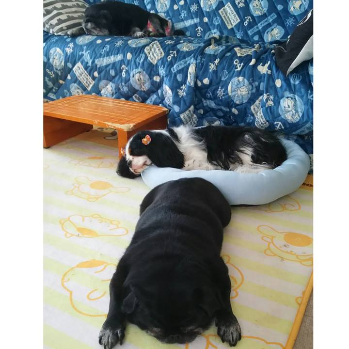 1e13376d 70e5 4dd1 b038 9a999e7ed66a