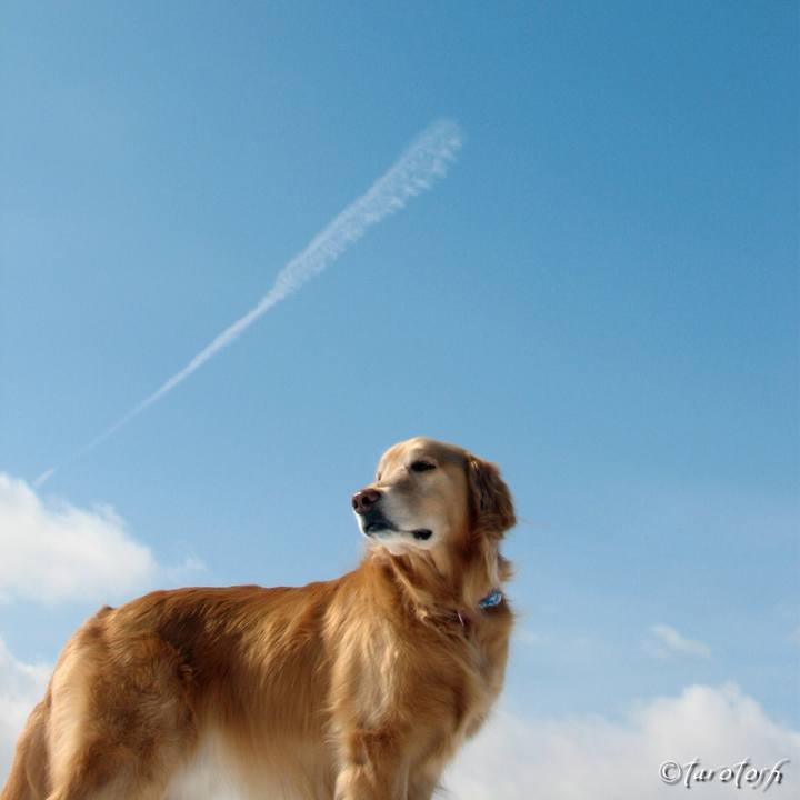 1e133fa0 d02b 4ce1 8e22 40508d534625