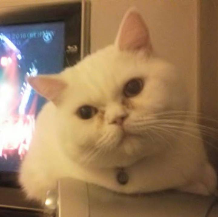 1e1342dc 532b 4a08 9b68 3551e0012fd8