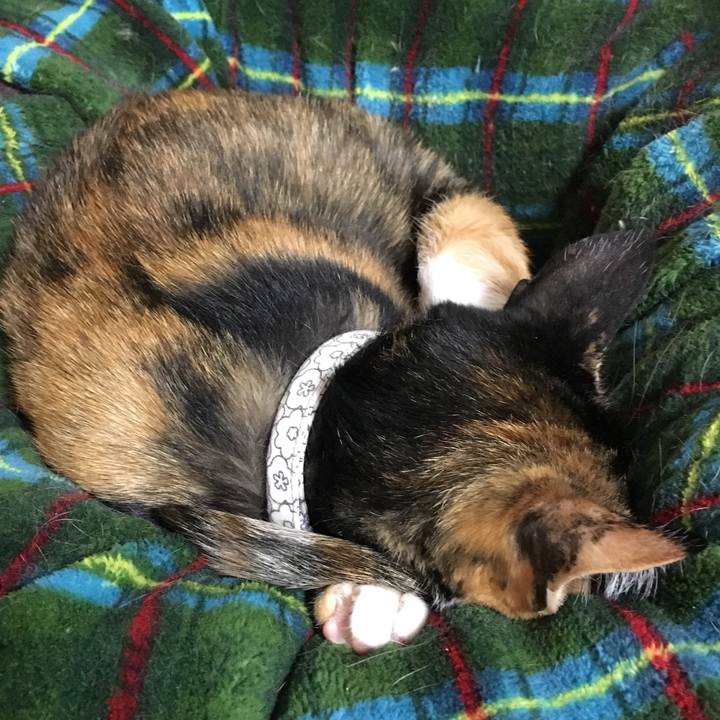 1e136a27 8505 4a77 9551 7e083193a904