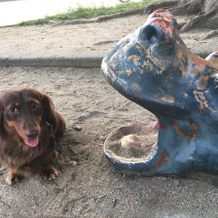 1e13830c 6fbf 42d4 afc1 16b022155bbf