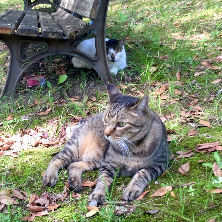 1e13df99 e8c7 467e b130 aea845f5022d