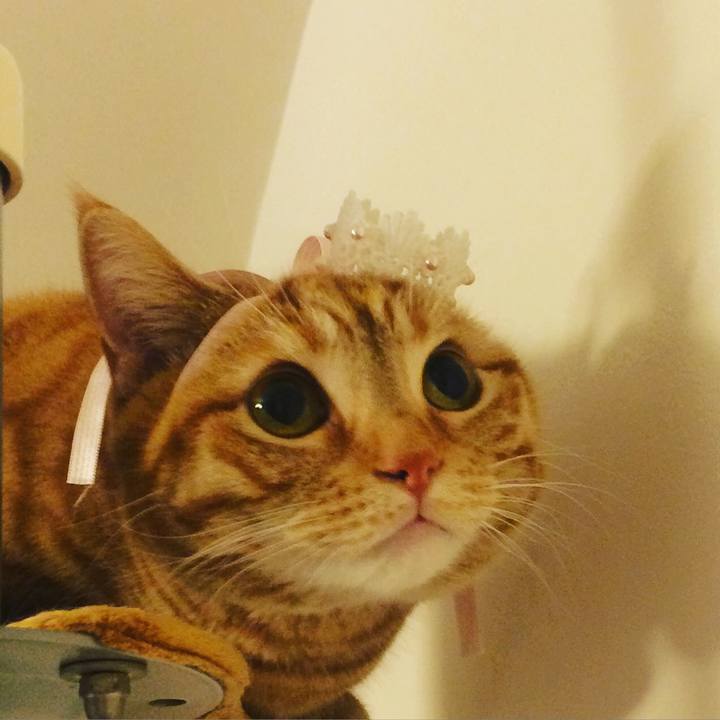 1e14861a 4aad 4fa1 a75f 58156d5d788c