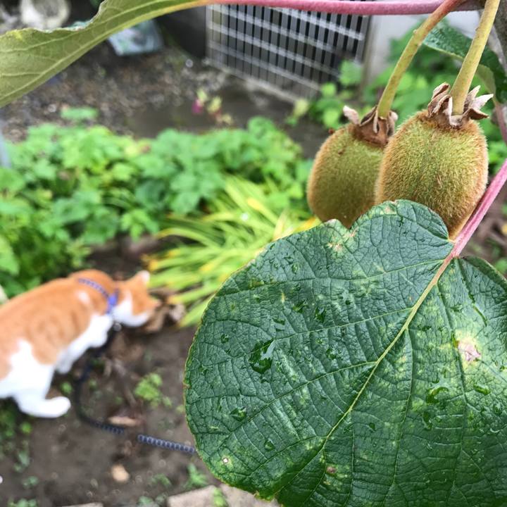 1e14a97e 41d0 4a89 bde1 8e7ea524a23a