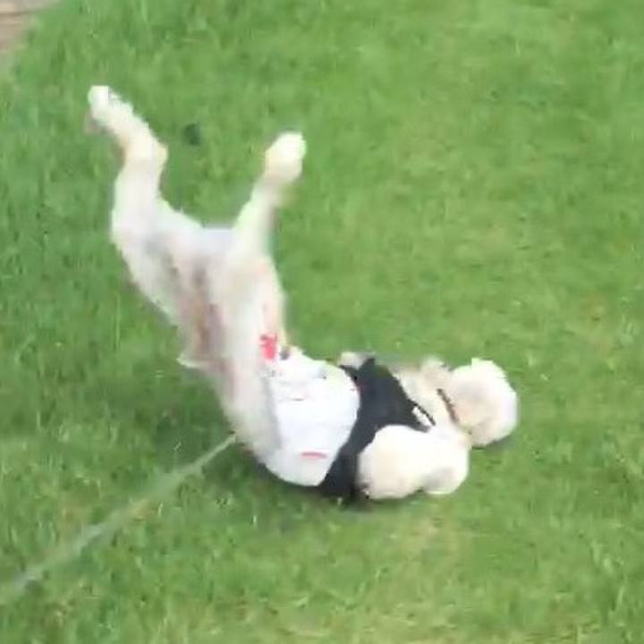 1e14cd59 5e8b 4b47 8c8e 08ceaf834981