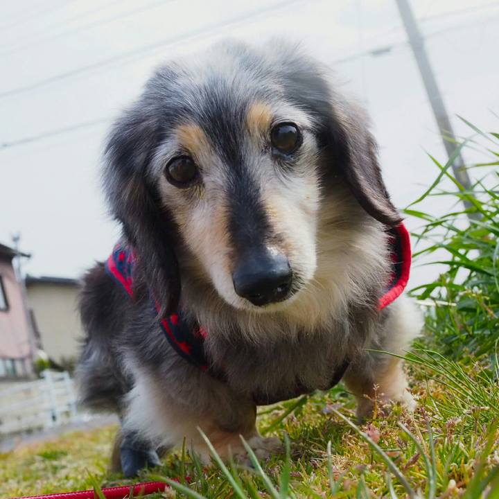 1e14eaec 189f 4fd0 9b6c 63041a96608c