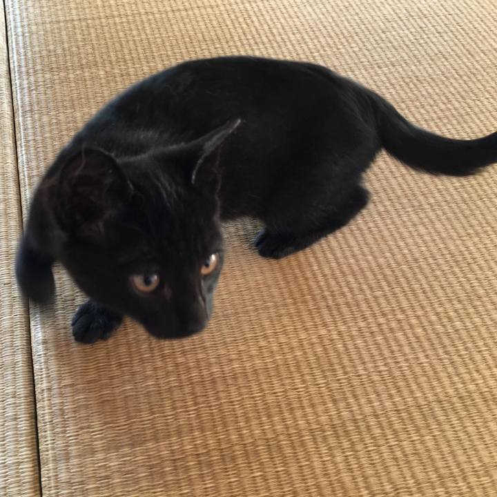 1e14f730 5d58 4b80 8ab5 be421db4c370