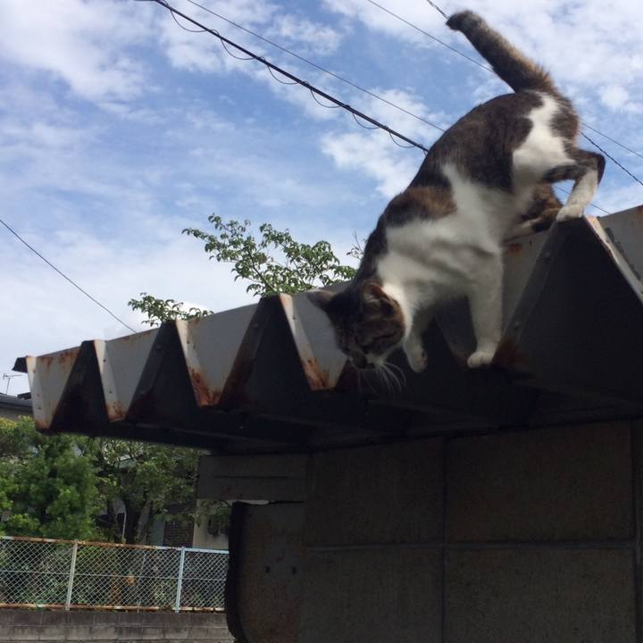 1e14fa59 1e56 40b9 8a39 e16ca2e0d8ec