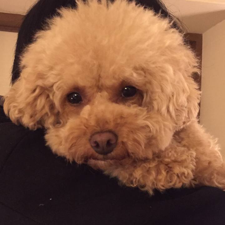 1e151231 fd29 4036 b1af 19e10914d256