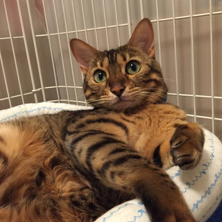 1e152c56 983a 4d60 b726 c72029cccb92