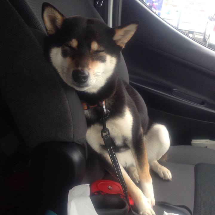 1e157cd2 a3d6 44a4 83d1 d31d01fdfddd