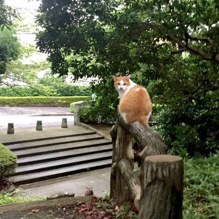 1e15dd8f d022 40f8 9bfc 1939c5e05ebc